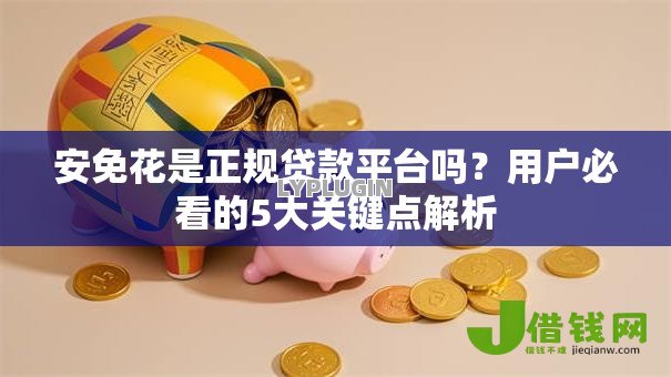 安免花是正规贷款平台吗？用户必看的5大关键点解析