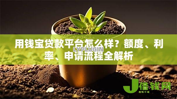 用钱宝贷款平台怎么样？额度、利率、申请流程全解析