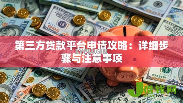 第三方贷款平台申请攻略：详细步骤与注意事项