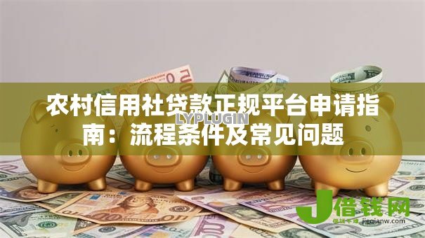 农村信用社贷款正规平台申请指南：流程条件及常见问题