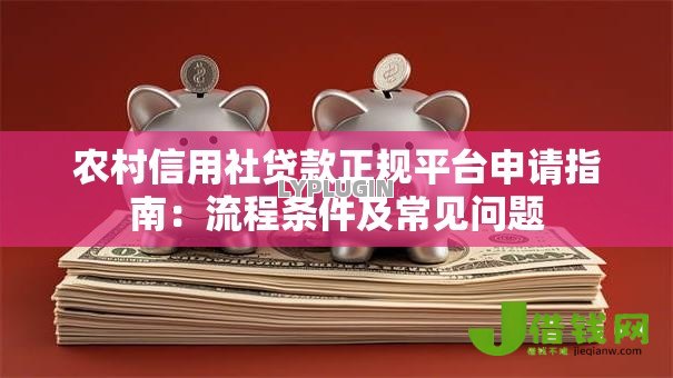 农村信用社贷款正规平台申请指南：流程条件及常见问题