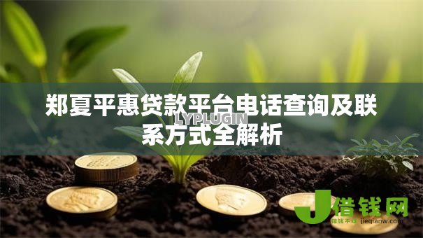 郑夏平惠贷款平台电话查询及联系方式全解析 郑夏平惠贷款平台电话查询及联系方式全解析