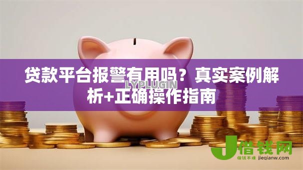 贷款平台报警有用吗?真实案例解析+正确操作指南 贷款平台报警有用吗?真实案例解析+正确操作指南