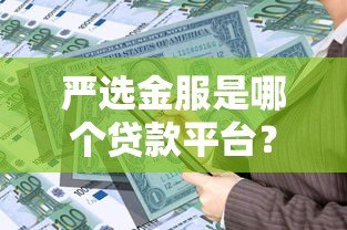 严选金服是哪个贷款平台？全面解析其贷款产品与资质