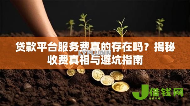 贷款平台服务费真的存在吗？揭秘收费真相与避坑指南