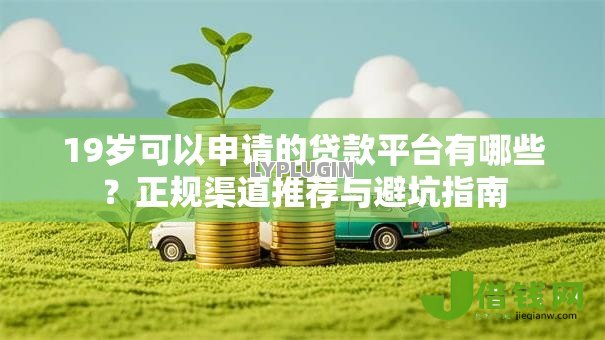 19岁可以申请的贷款平台有哪些？正规渠道推荐与避坑指南