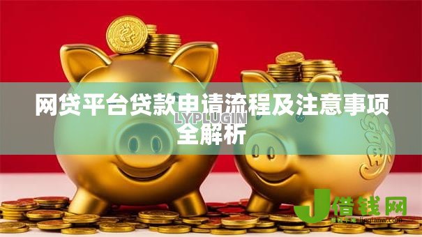 网贷平台贷款申请流程及注意事项全解析 网贷平台贷款申请流程及注意事项全解析
