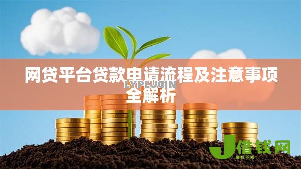 网贷平台贷款申请流程及注意事项全解析 网贷平台贷款申请流程及注意事项全解析