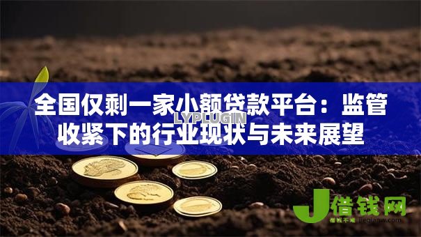 全国仅剩一家小额贷款平台:监管收紧下的行业现状与未来展望 全国仅剩一家小额贷款平台:监管收紧下的行业现状与未来展望
