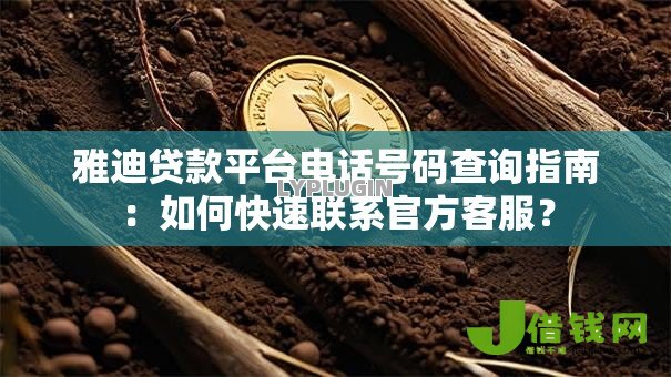 雅迪贷款平台电话号码查询指南：如何快速联系官方客服？