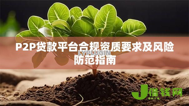 P2P贷款平台合规资质要求及风险防范指南 P2P贷款平台合规资质要求及风险防范指南