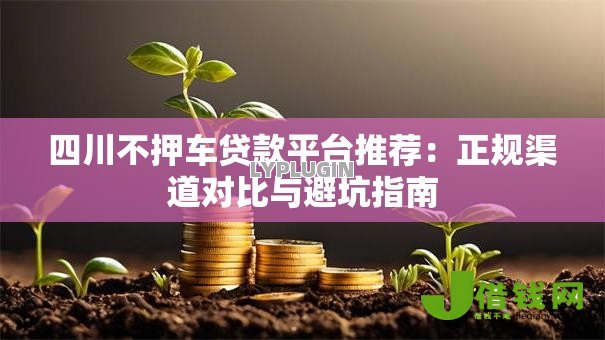四川不押车贷款平台推荐：正规渠道对比与避坑指南