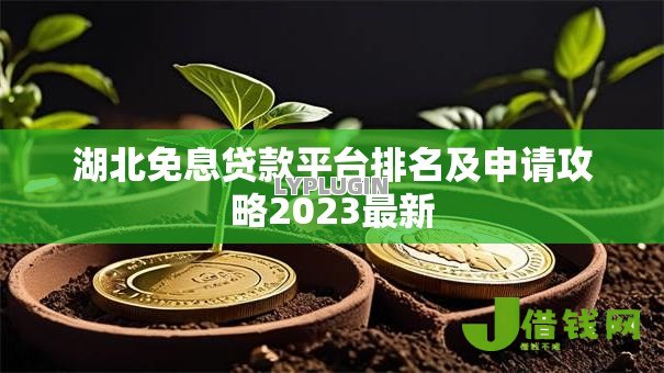 湖北免息贷款平台排名及申请攻略2023最新