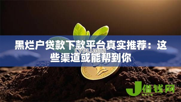 黑烂户贷款下款平台真实推荐：这些渠道或能帮到你