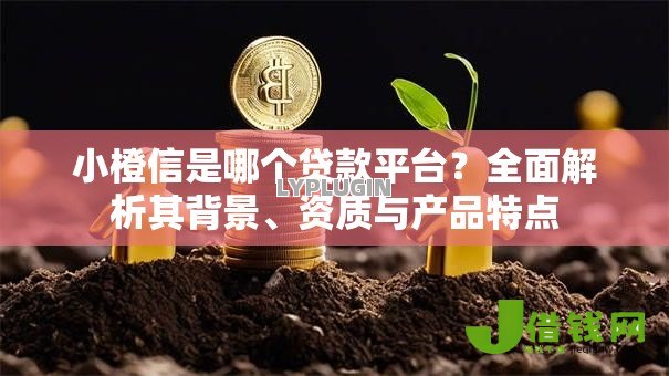 小橙信是哪个贷款平台?全面解析其背景、资质与产品特点 小橙信是哪个贷款平台?全面解析其背景、资质与产品特点