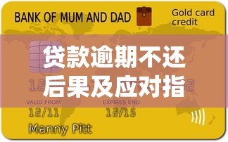 贷款逾期不还后果及应对指南