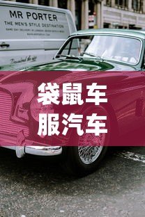 袋鼠车服汽车贷款平台App：低息快审购车方案解析