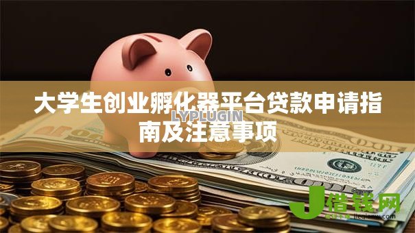 大学生创业孵化器平台贷款申请指南及注意事项 大学生创业孵化器平台贷款申请指南及注意事项