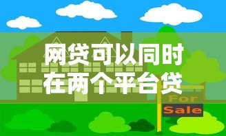 网贷可以同时在两个平台贷款吗？风险与应对策略