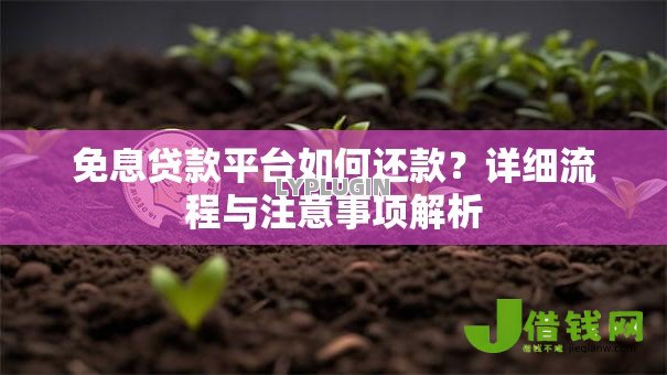 免息贷款平台如何还款？详细流程与注意事项解析