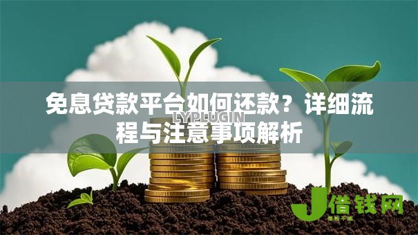免息贷款平台如何还款？详细流程与注意事项解析