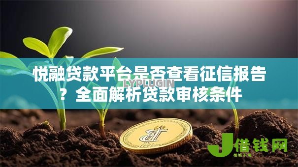 悦融贷款平台是否查看征信报告？全面解析贷款审核条件