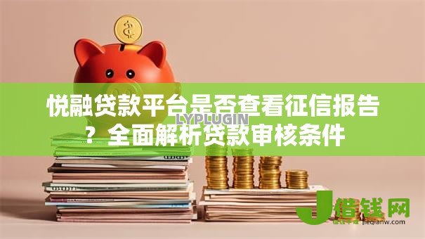悦融贷款平台是否查看征信报告？全面解析贷款审核条件