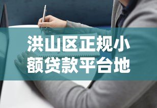 洪山区正规小额贷款平台地址及申请指南