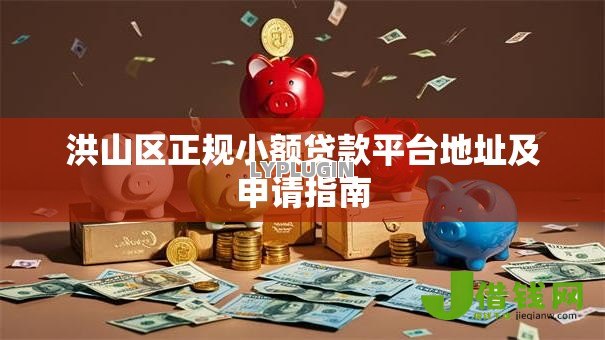 洪山区正规小额贷款平台地址及申请指南