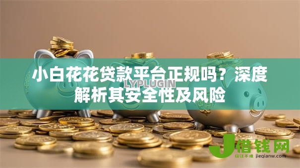 小白花花贷款平台正规吗？深度解析其安全性及风险