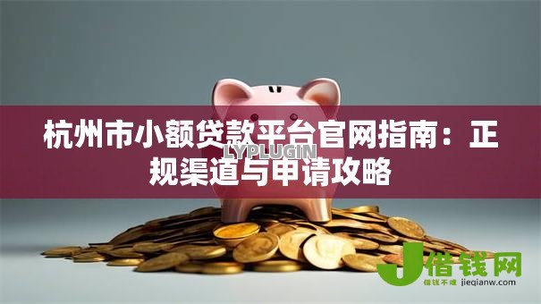 杭州市小额贷款平台官网指南：正规渠道与申请攻略
