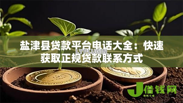 盐津县贷款平台电话大全：快速获取正规贷款联系方式