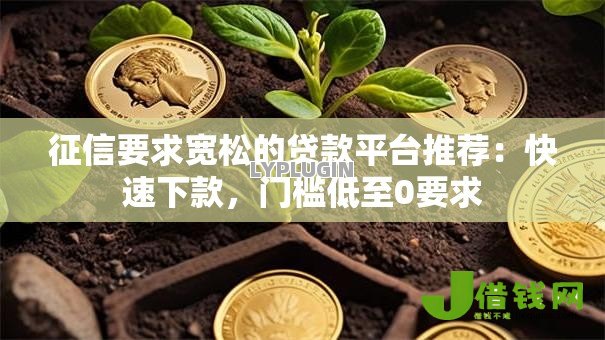 征信要求宽松的贷款平台推荐：快速下款，门槛低至0要求