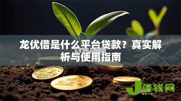 龙优借是什么平台贷款?真实解析与使用指南 龙优借是什么平台贷款?真实解析与使用指南