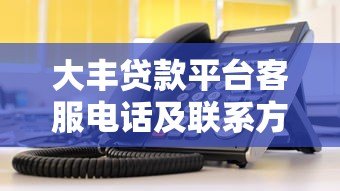 大丰贷款平台客服电话及联系方式查询指南