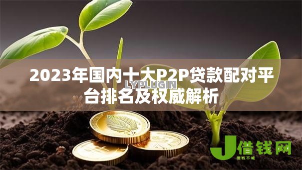 2023年国内十大P2P贷款配对平台排名及权威解析 2023年国内十大P2P贷款配对平台排名及权威解析