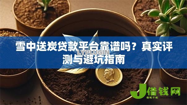 雪中送炭贷款平台靠谱吗?真实评测与避坑指南 雪中送炭贷款平台靠谱吗?真实评测与避坑指南
