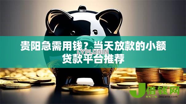 贵阳急需用钱？当天放款的小额贷款平台推荐
