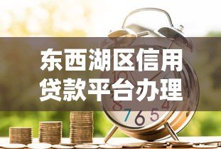 东西湖区信用贷款平台办理指南及正规机构推荐 东西湖区信用贷款平台办理指南及正规机构推荐