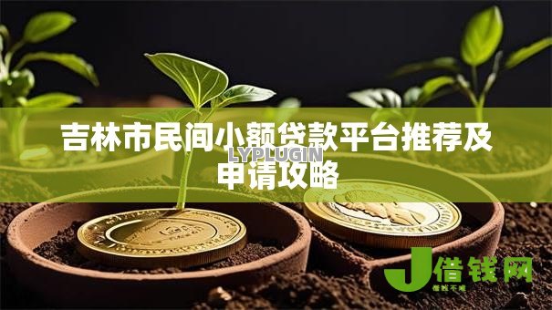 吉林市民间小额贷款平台推荐及申请攻略