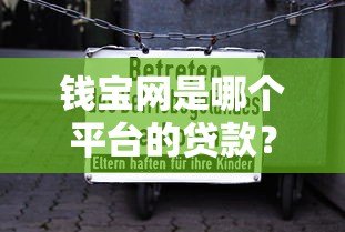 钱宝网是哪个平台的贷款？深度解析真实背景与风险警示