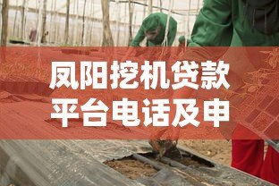 凤阳挖机贷款平台电话及申请全攻略 凤阳挖机贷款平台电话及申请全攻略