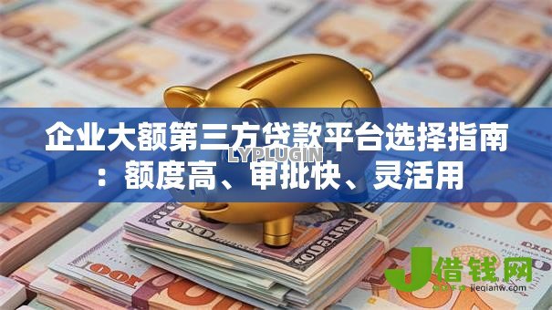 企业大额第三方贷款平台选择指南：额度高、审批快、灵活用