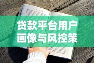 贷款平台用户画像与风控策略深度解析