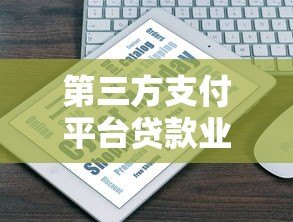 第三方支付平台贷款业务解析与使用指南 第三方支付平台贷款业务解析与使用指南