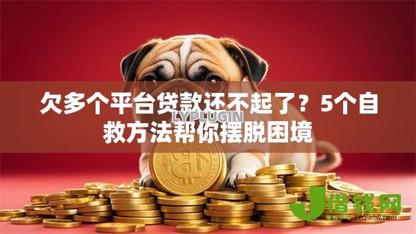 欠多个平台贷款还不起了?5个自救方法帮你摆脱困境 欠多个平台贷款还不起了?5个自救方法帮你摆脱困境