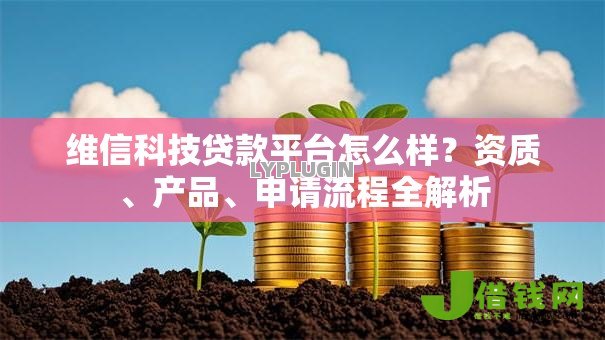 维信科技贷款平台怎么样?资质、产品、申请流程全解析 维信科技贷款平台怎么样?资质、产品、申请流程全解析