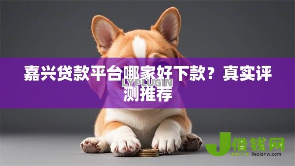 嘉兴贷款平台哪家好下款?真实评测推荐 嘉兴贷款平台哪家好下款?真实评测推荐
