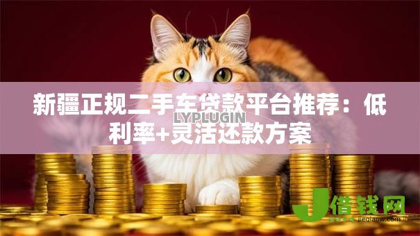 新疆正规二手车贷款平台推荐：低利率+灵活还款方案