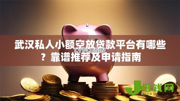 武汉私人小额空放贷款平台有哪些？靠谱推荐及申请指南